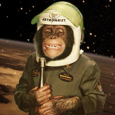 space-chimp-ham-monkey-astronaut-grawitz-tumor.jpg